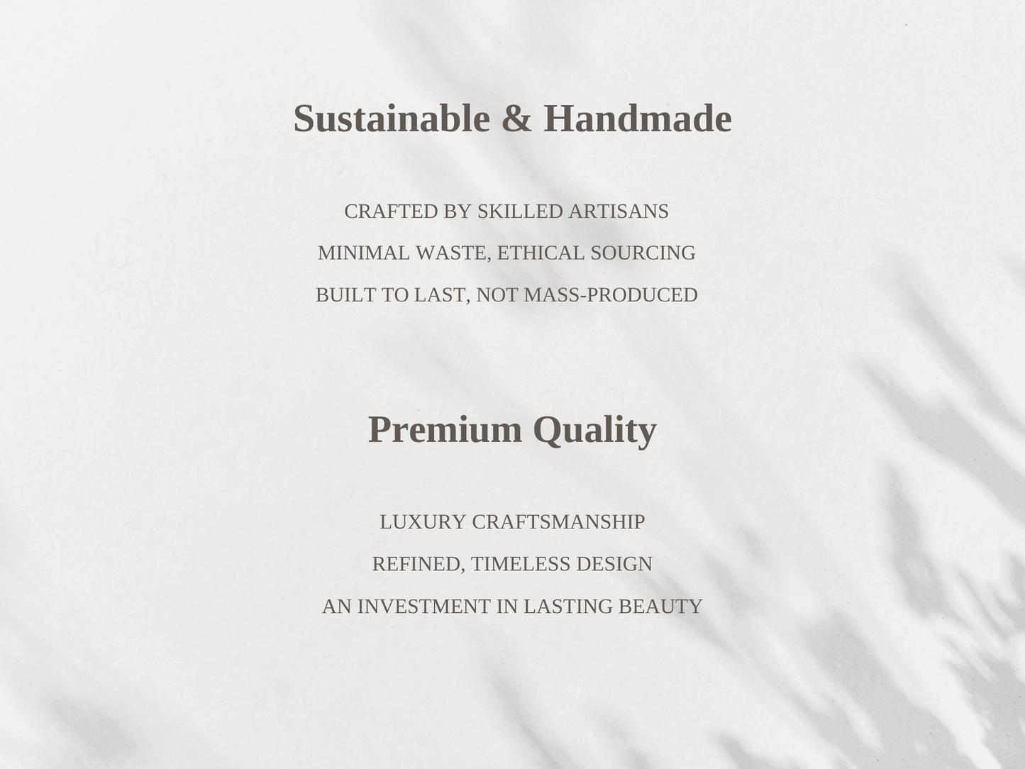 Natural Beech Wooden Chair with white back and seat