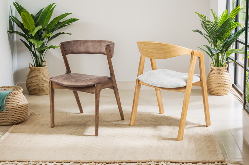Natural Oak Wooden Chair with Soft upholstery