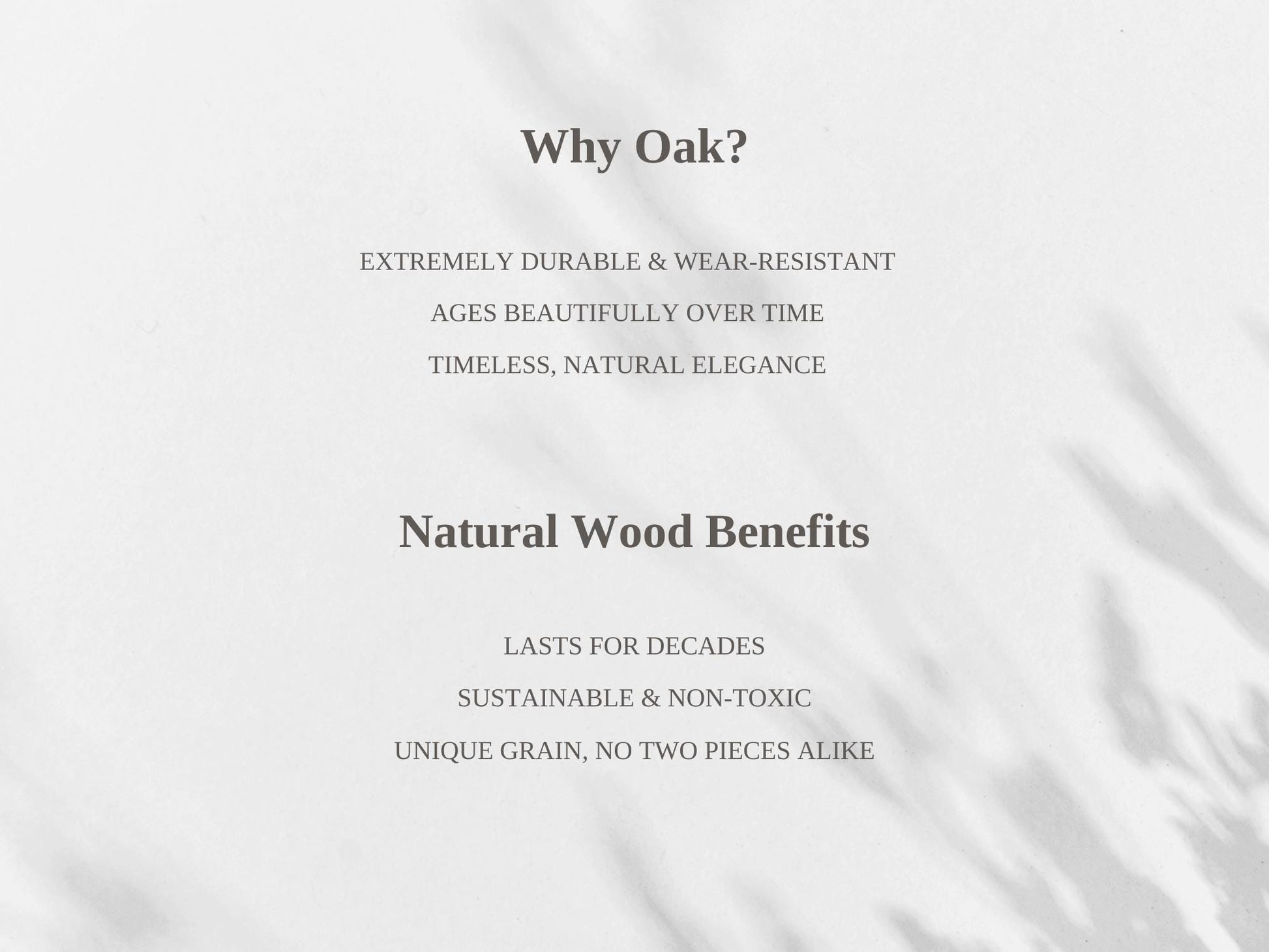 Natural Oak Wooden Chair Modern wooden dining Chair minimalist solid wood Seating